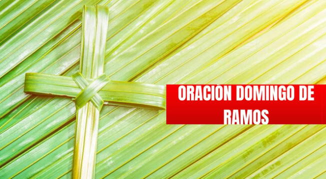 Revisa cuál es la oración oficial de HOY en Domingo de Ramos