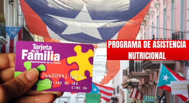 Programa de Asistencia Nutricional: revisa cómo acceder