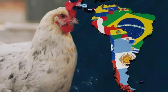 Este país sudamericano incrementó el consumo de pollo desde el 2020 y para el 2024 superó a Perú.