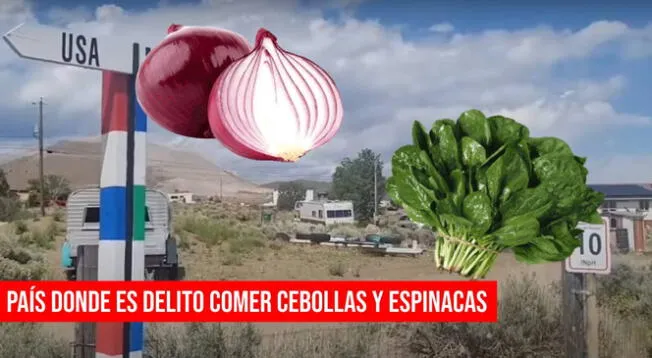 Molossia es el lugar donde comer cebolla y espinaca es un delito.