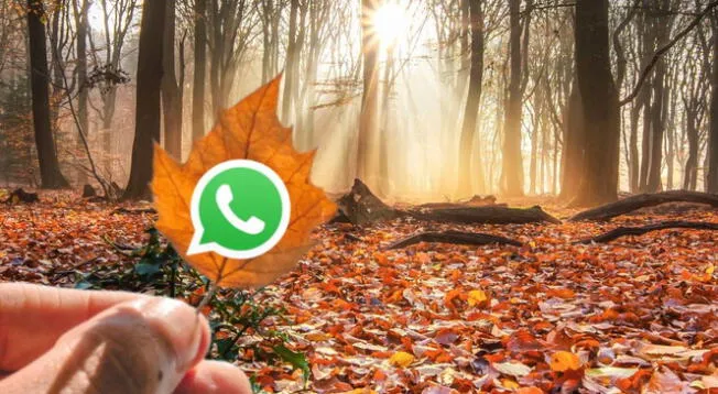 WhatsApp en 'Modo Otoño' ya está disponible.