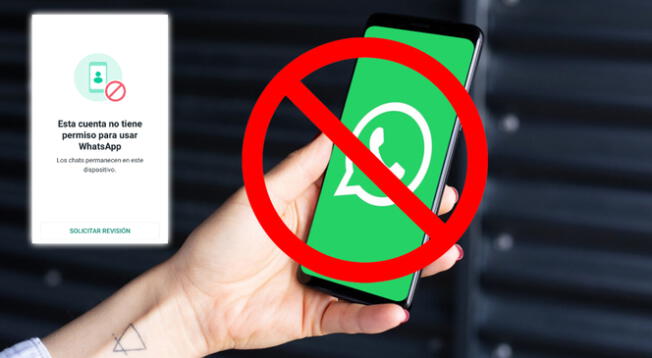 Solución para usar WhatsApp Plus si es que te sale error por tras la nueva actualización.