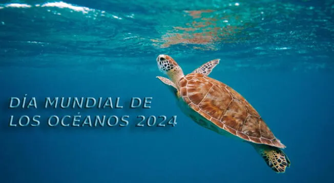 Frases para celebrar el Día Mundial de los Océanos en el 2024.