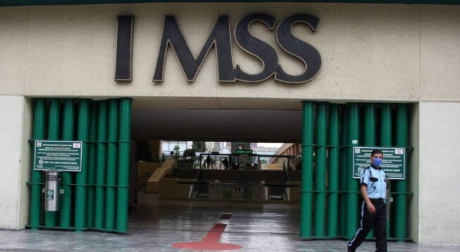 Conoce los pasos que debes seguir para obtener el alta en el IMSS.