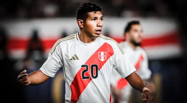 Selección peruana sufrió dura caída en el ranking FIFA tras actuación en la Copa América.