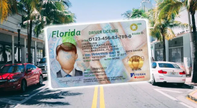 Conoce los pasos para verificar si tu licencia de conducir está suspendida en Florida.