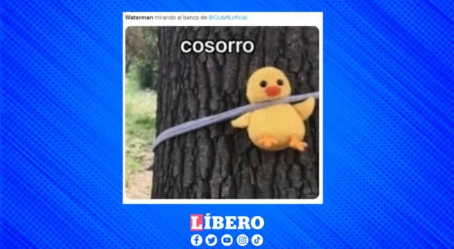 memes alianza memes alianza