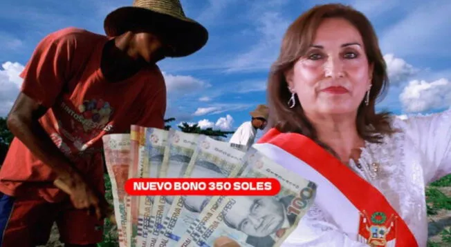 NUEVO BONO de 350 soles: conoce si puedes activar el beneficio