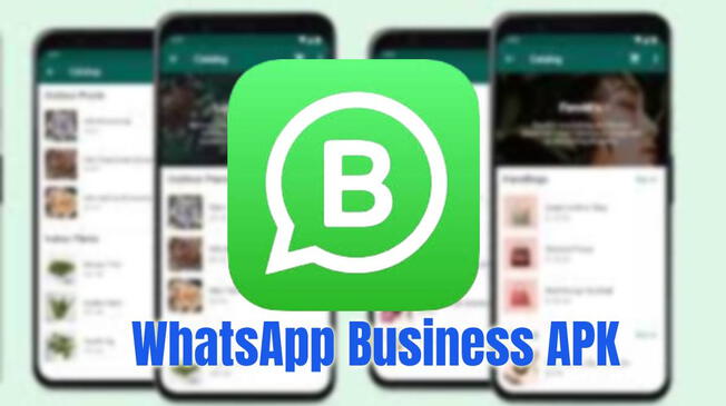 Conoce las funciones que puedes obtener con WhatsApp Business APK.