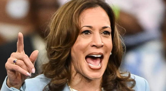 Esto dijo Kamala Harris sobre los pequeños empresarios.