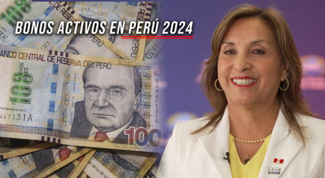 Dina Boluarte confirmó el pago de diferente subsidios económicos este 2024.