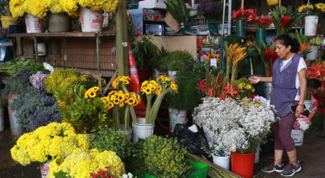 Te decimos dónde encontrar flores amarillas en Lima este 21 de septiembre.