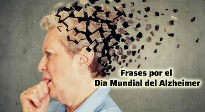 Comparte las mejores frases por el Día del Alzheimer y ayuda a crear conciencia. Comparte las mejores frases por el Día del Alzheimer y ayuda a crear conciencia.