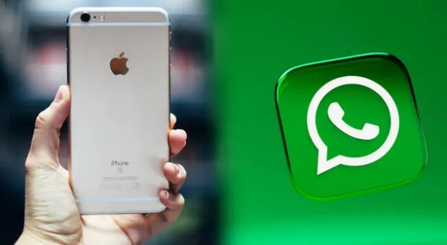 Si cuentas con uno de estos modelos de iPhone, WhatsApp ya no le dará soporte a dispositivos que cuenten con versiones inferiores al iOS 14.1