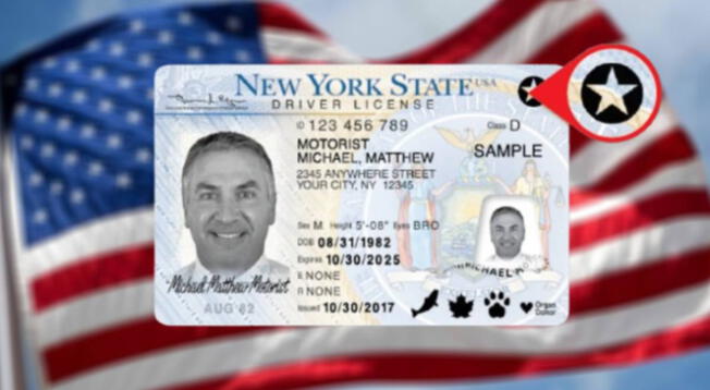 Paso a paso para renovar tu Real ID de manera anticipada en Nueva York.