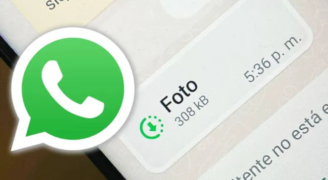 Usa WhatsApp de forma responsable al guardar fotos o videos de visualización única.