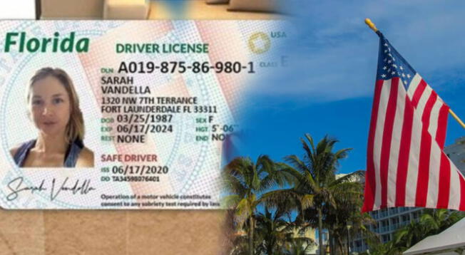 Conoce más sobre el proceso de solicitar el Real ID en Florida.