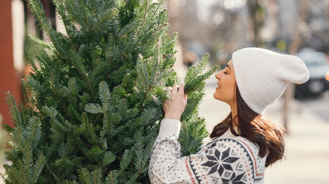 Conoce AQUÍ los mejores descuentos en árboles navideños de Walmart.