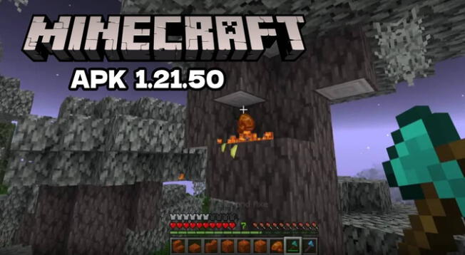 Descarga GRATIS Minecraft versión 1.21.50 para smartphones Android totalmente GRATIS.