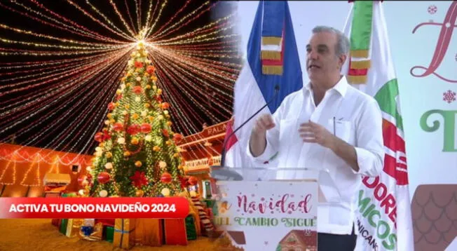 Bono Navideño: revisa si accedes al respaldo de República Dominicana