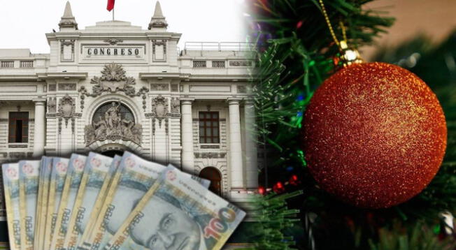 El Bono Navideño no cuenta con un link de consulta.