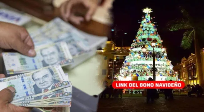 Bono Navidad: revisa si accedes al subsidio este mes de diciembre