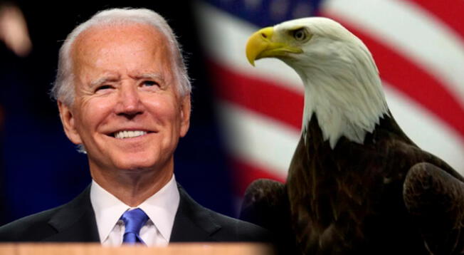 Joe Biden y su MEDIDA antes de abandonar la presidencia: nombra oficialmente al ave nacional de EE.UU.