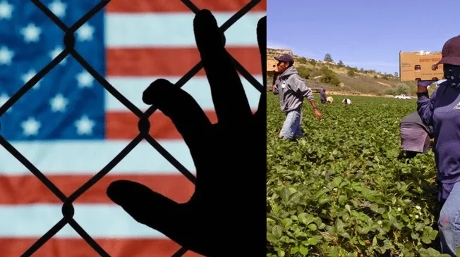 El sector agrícola teme que las deportaciones afecten la producción de alimentos, especialmente en California.