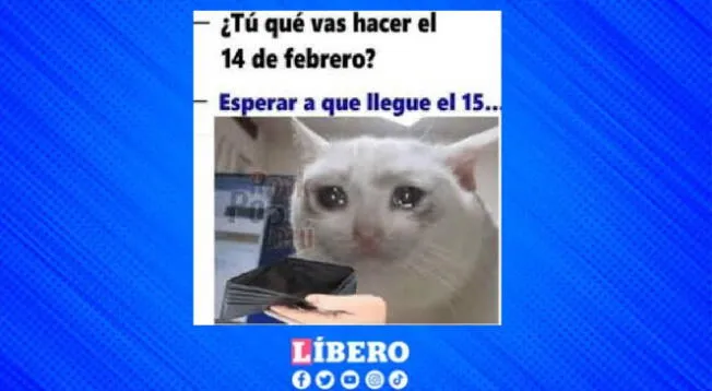 Los mejores memes para compartir por inicio de febrero 2025