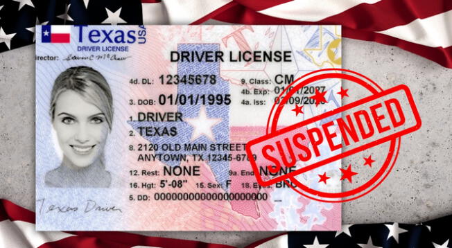 De incumplir estas normas básicas, tu licencia podría ser suspendida, revocada o cancelada. De incumplir estas normas básicas, tu licencia podría ser suspendida, revocada o cancelada.