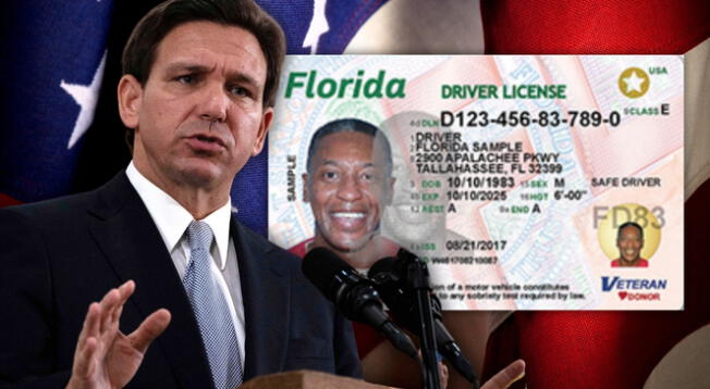 En las oficinas de estos condados de Florida podrás obtener tu Real ID. En las oficinas de estos condados de Florida podrás obtener tu Real ID.