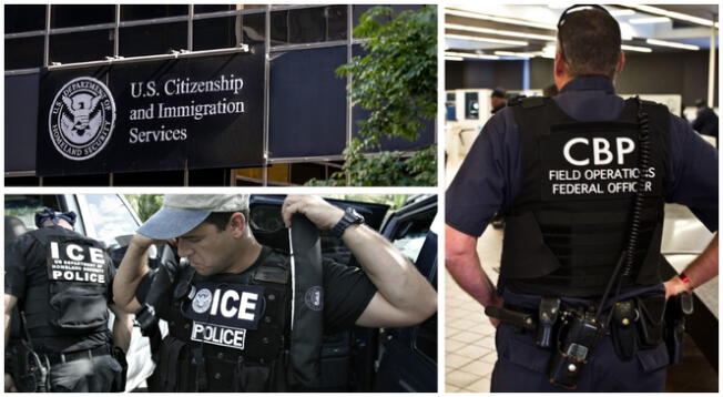 Estas son las agencias federales involucradas en el sistema migratorio de Estados Unidos. Estas son las agencias federales involucradas en el sistema migratorio de Estados Unidos.