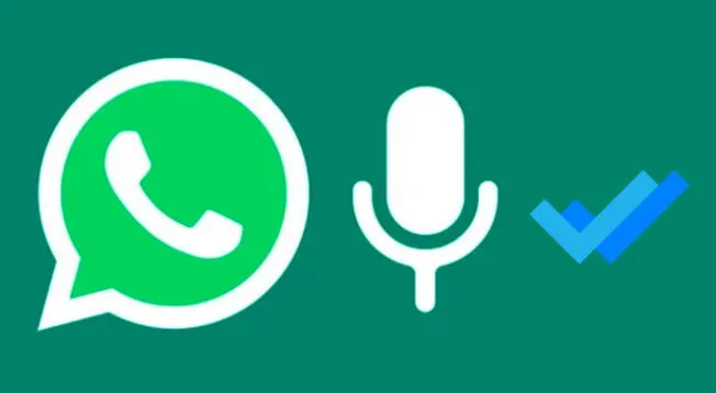 Con este truco de WhatsApp podrás mejorar la privacidad de tu aplicativo. Con este truco de WhatsApp podrás mejorar la privacidad de tu aplicativo.