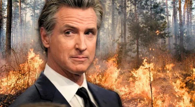 Gavin Newsom realiza cambios en las políticas contra incendios forestales en California. Gavin Newsom realiza cambios en las políticas contra incendios forestales en California.