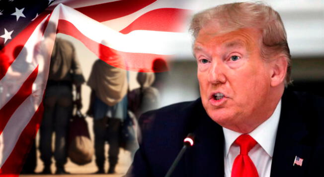 Trump deportaría a estos inmigrantes sin importar su nacionalidad ni el historial migratorio. Trump deportaría a estos inmigrantes sin importar su nacionalidad ni el historial migratorio.