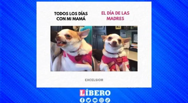 Memes para disfrutar el Día de la Madre 2025 Memes para disfrutar el Día de la Madre 2025