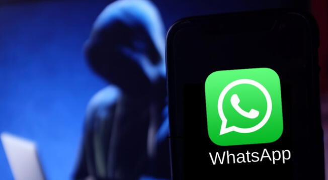Consejos para cuidar la seguridad de una cuenta de WhatsApp. Consejos para cuidar la seguridad de una cuenta de WhatsApp.