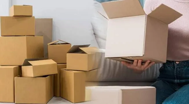 Conoce el tesoro oculto que tienen las cajas de cartón Conoce el tesoro oculto que tienen las cajas de cartón