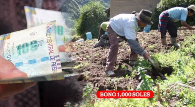 Bono 1,000 soles para productores agrarios del Perú Bono 1,000 soles para productores agrarios del Perú