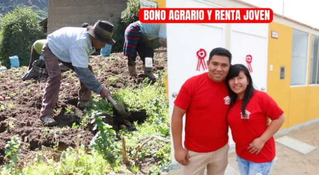 Bono Agrario y Renta Joven en mayo: consulta qué se sabe de los pagos Bono Agrario y Renta Joven en mayo: consulta qué se sabe de los pagos