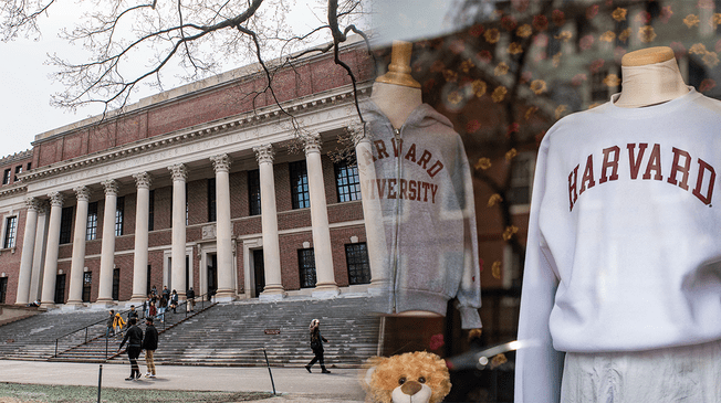 Los interesados deben tener una formación académica sobresaliente y recibir una oferta de admisión de Harvard. Los interesados deben tener una formación académica sobresaliente y recibir una oferta de admisión de Harvard.