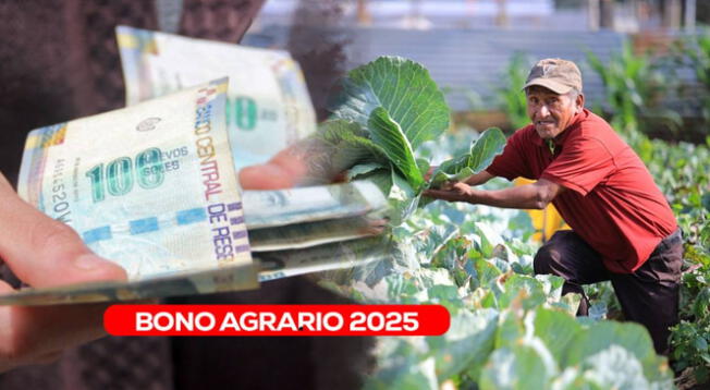 MIDAGRI: este el nuevo subsidio para los agricultores MIDAGRI: este el nuevo subsidio para los agricultores
