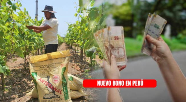 Nuevo bono en Perú: consulta si accedes a la subvención