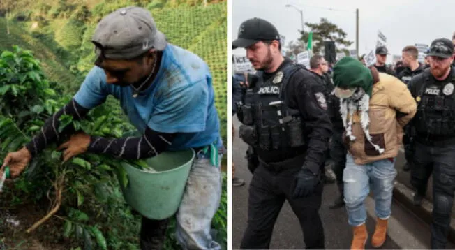 Latinos agrícolas son arrestados tras drásticos operativos en este estado en Estados Unidos. Latinos agrícolas son arrestados tras drásticos operativos en este estado en Estados Unidos.