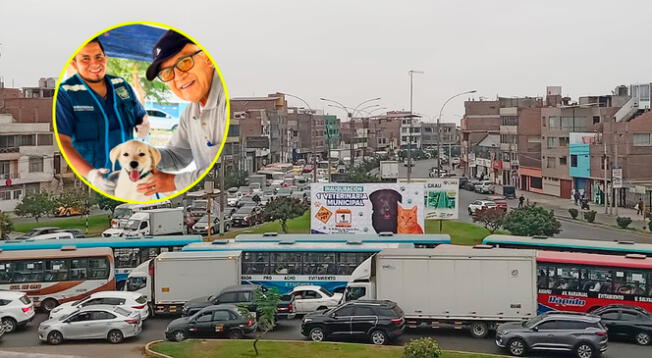 La Municipalidad del distrito confirmó la primera veterinaria municipal y zona pet. La Municipalidad del distrito confirmó la primera veterinaria municipal y zona pet.