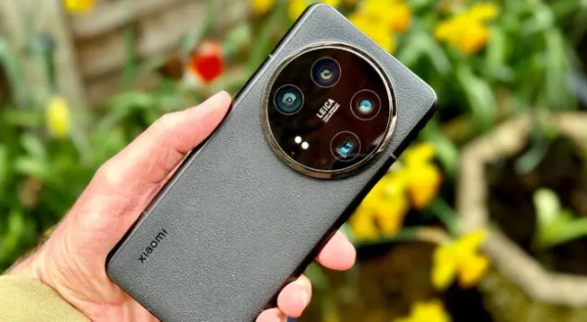 El celular Xiaomi que demuestra ser mejores que el Samsung s24 Plus. El celular Xiaomi que demuestra ser mejores que el Samsung s24 Plus.