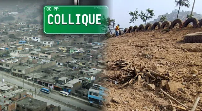 La Municipalidad de Comas anunció mejoras en un parque de Collique. La Municipalidad de Comas anunció mejoras en un parque de Collique.