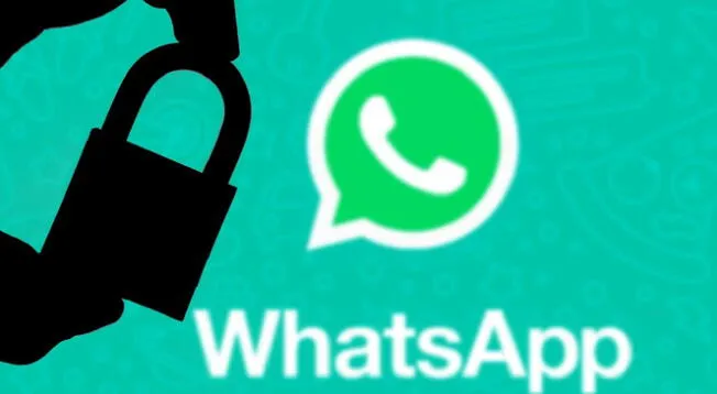 WhatsApp actualizará función para permitir apodos únicos a los usuarios. WhatsApp actualizará función para permitir apodos únicos a los usuarios.