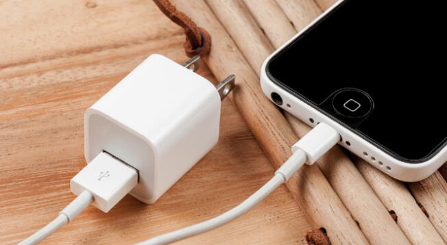 Consejos básicos para saber reconocer un cargador de iPhone.