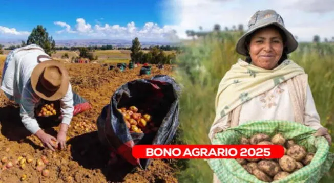 Consulta sobre el acceso al nuevo pago de Bono Agrario Consulta sobre el acceso al nuevo pago de Bono Agrario